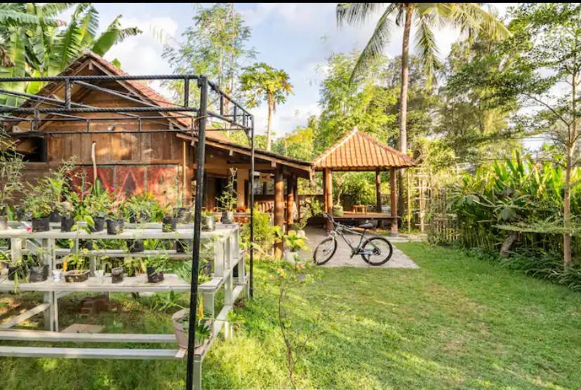 Hotel Al-Shifa Healing House Lombok Gili Air Exteriér fotografie
